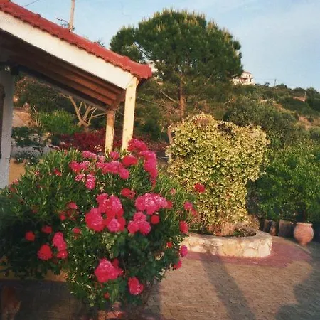 Ventura Lägenhet Lassi (Kefalonia)